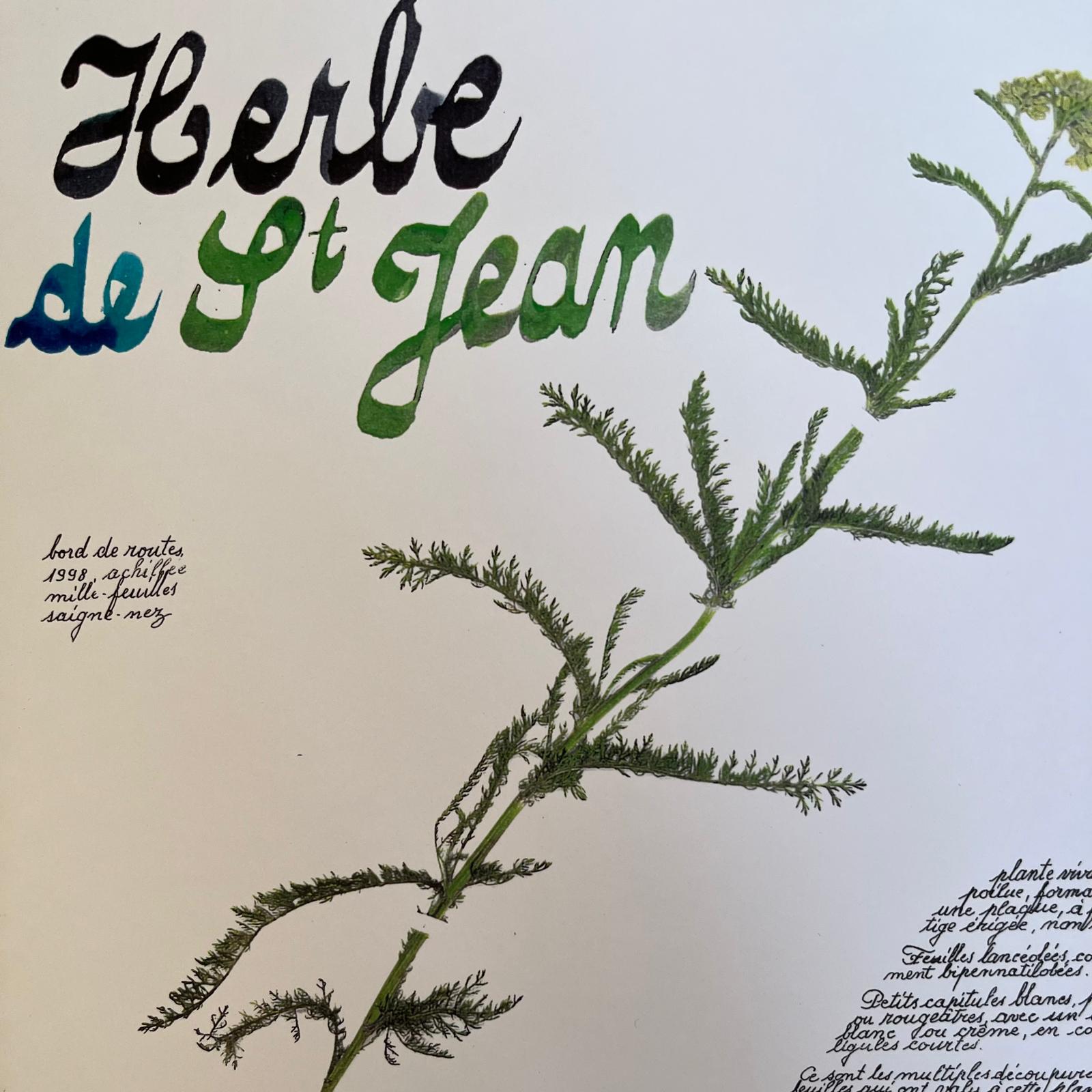 page-herbier-herbe-ateliers-epinette.jpg