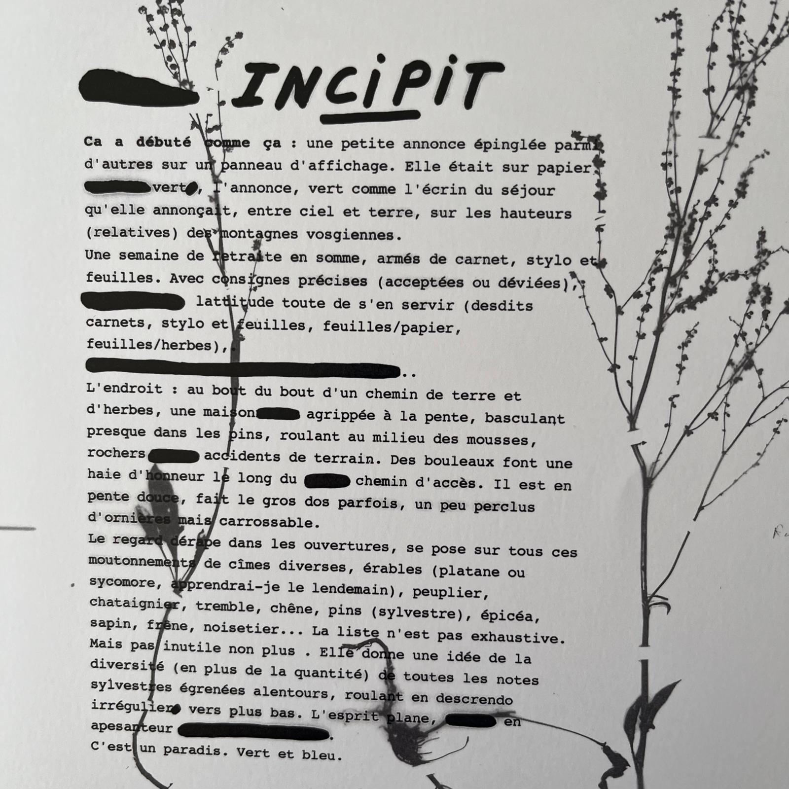 incipit-atelier-ecriture-epinette.jpg