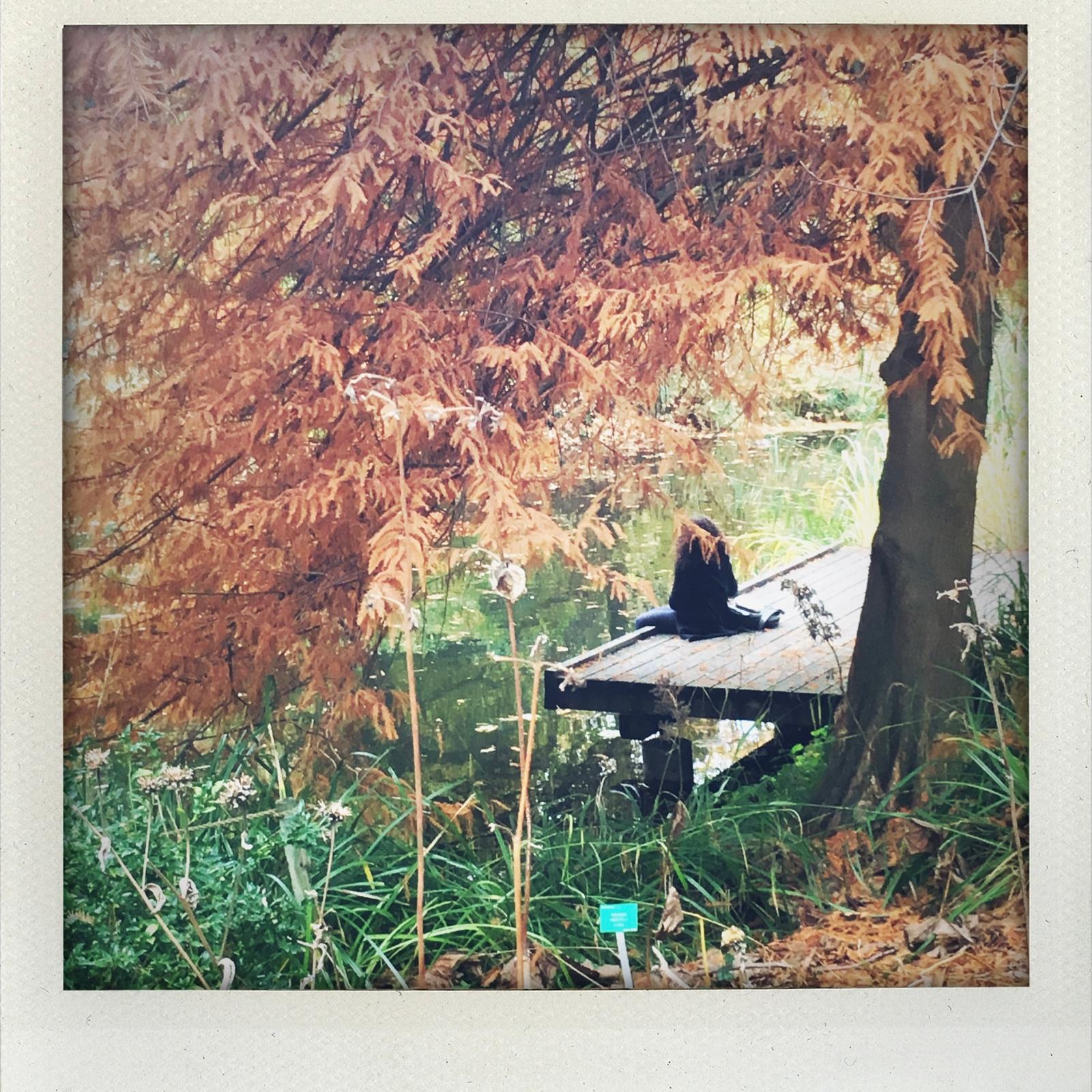 cycle_creatif_polaroid_epinette.jpg